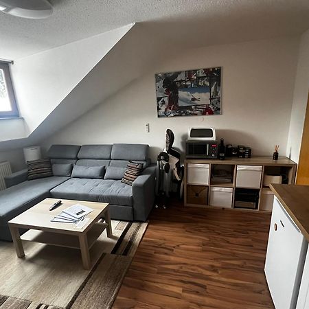 Family Apartment Sumava بايريش أيزنشتاين المظهر الخارجي الصورة