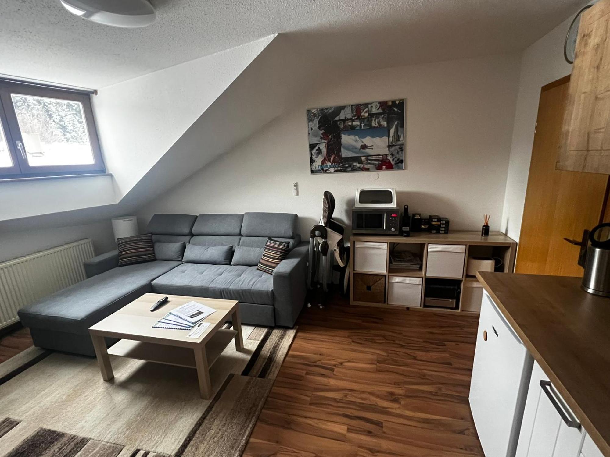 Family Apartment Sumava بايريش أيزنشتاين المظهر الخارجي الصورة